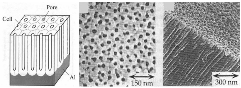 anodized aluminium biocompatibility ISO 10993