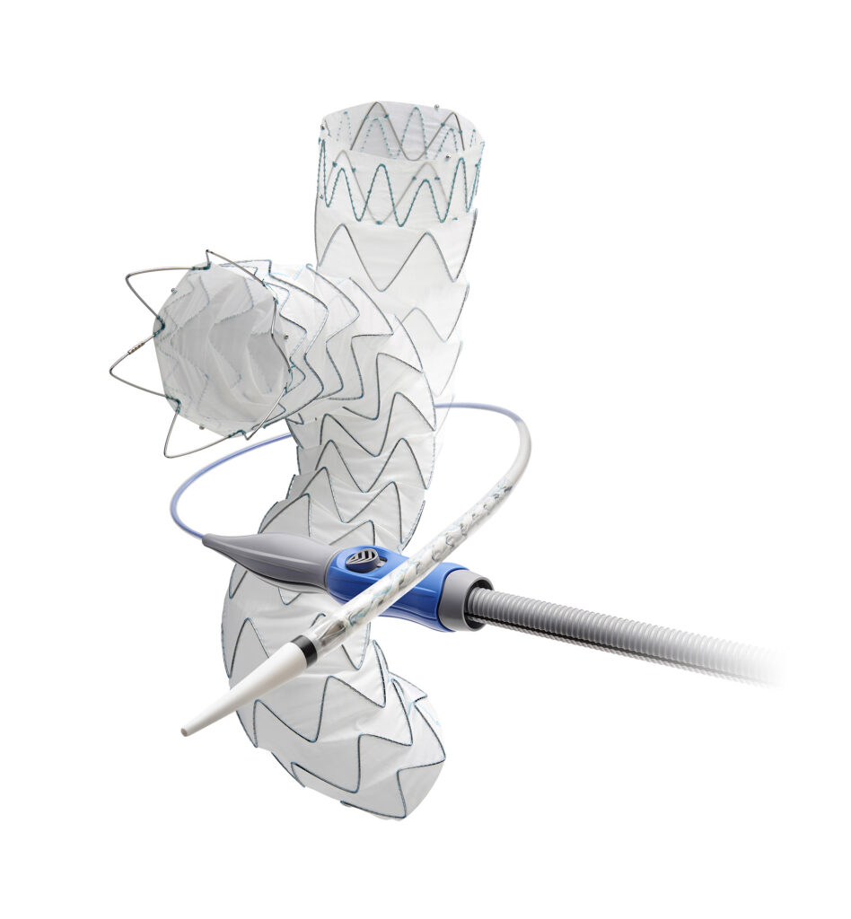 A medical device image showing a flexible, catheter-delivered endovascular stent graft system. The device features a long, tubular graft structure with integrated support rings and a delivery catheter. It is designed to treat vascular conditions such as aneurysms by reinforcing blood vessel walls.