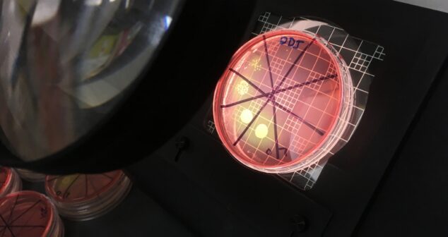 assay industry trends