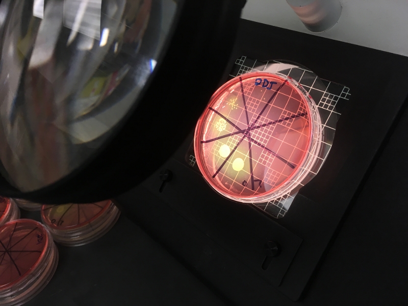 assay industry trends