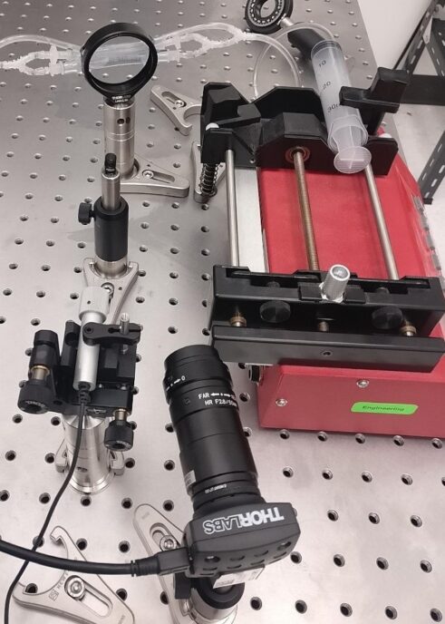 Laser Speckle Contrast Imaging