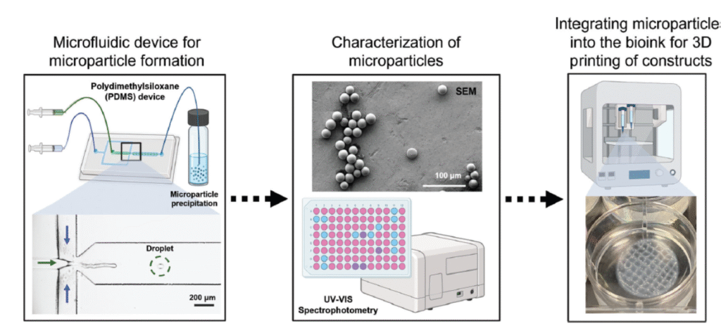 A multi-panel figure illustrating bioink-based 3D bioprinting and neuronal cell differentiation.
Panel a: Diagram of a 3D bioprinter using separate vials for bioink, buffer, and crosslinker.
Panel b: Grid-based rendering of a printed construct (blue ink) showing layered geometry.
Panel c: Photo of multiple 3D-printed constructs in pink medium inside a well plate.
Panel d: Timeline for neural progenitor cell (NPC) differentiation over 45 days with applied factors including puromycin (Puro), FGF-8, BMP9, NGF, and BDNF.